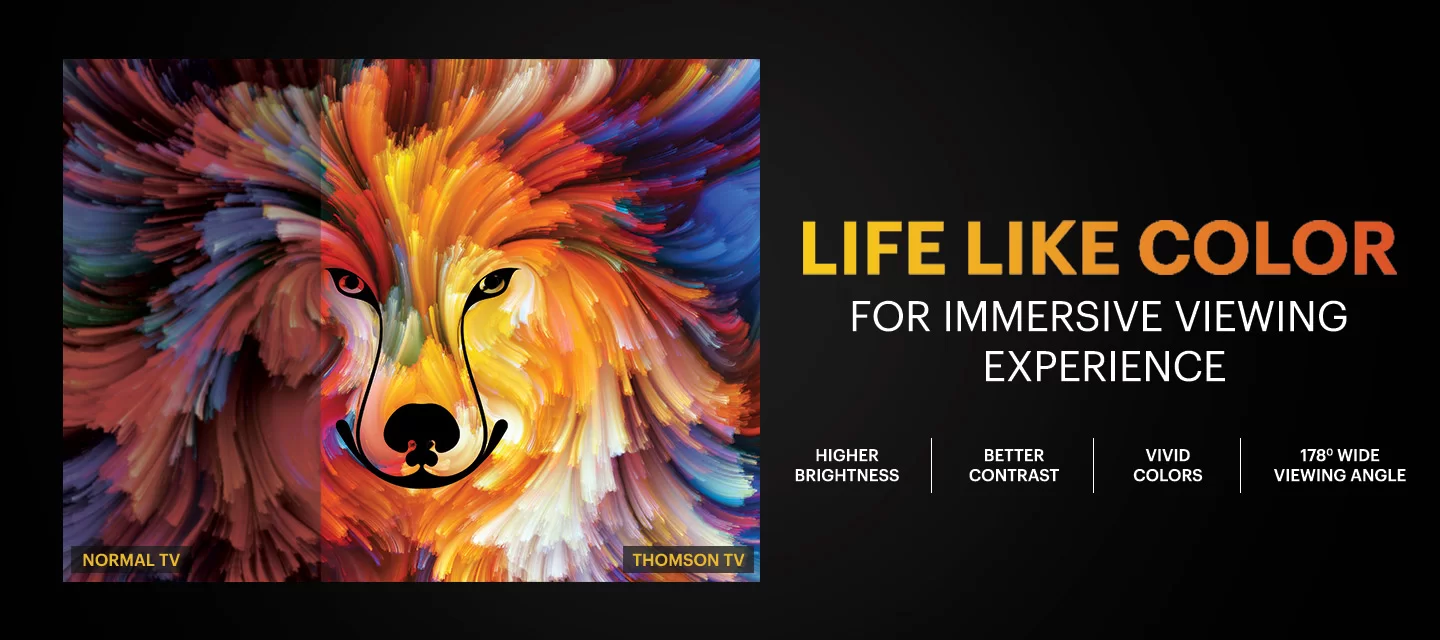 thomson/product/32PATH0011/productrpd/32PATH0011_rpd (1).webp